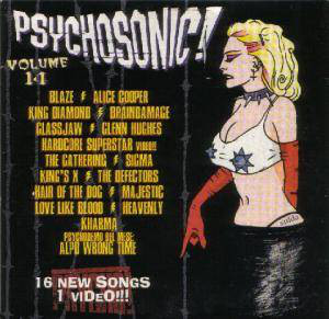 Various - Psycho! Magazine - Psychosonic! Volume 14