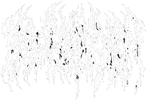Blood Incantation