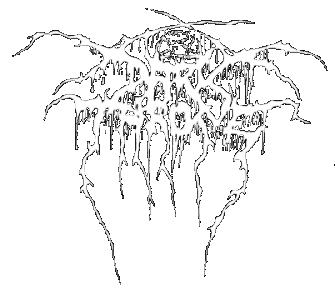 Darkthrone