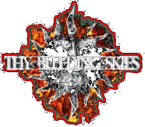 Thy Bleeding Skies